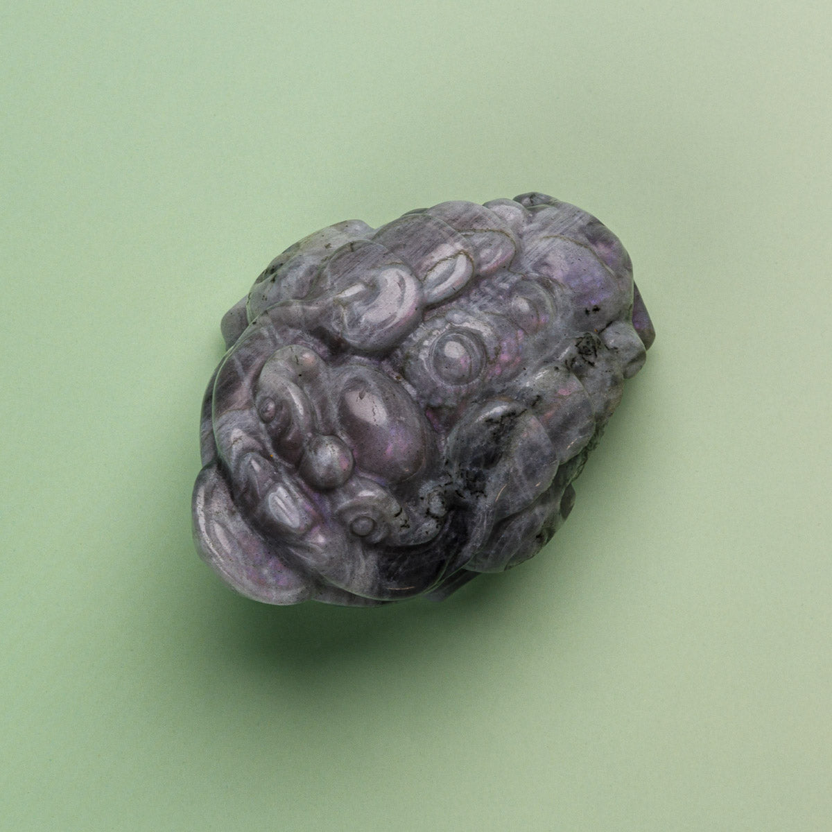 Labradorite Purple Flash Money Toad