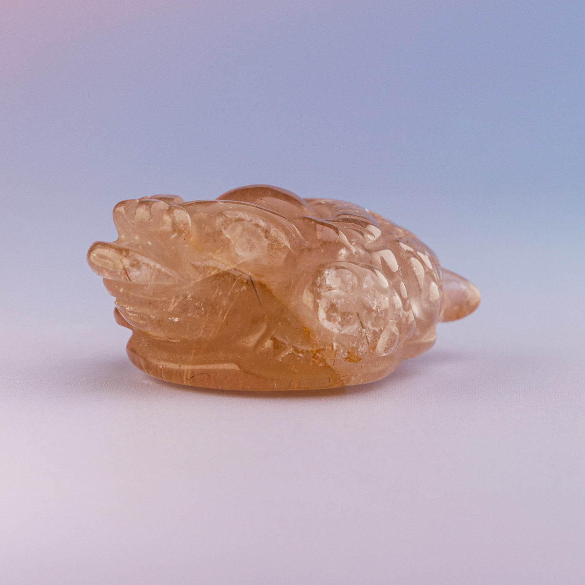 Golden Rutile Mini Money Toad