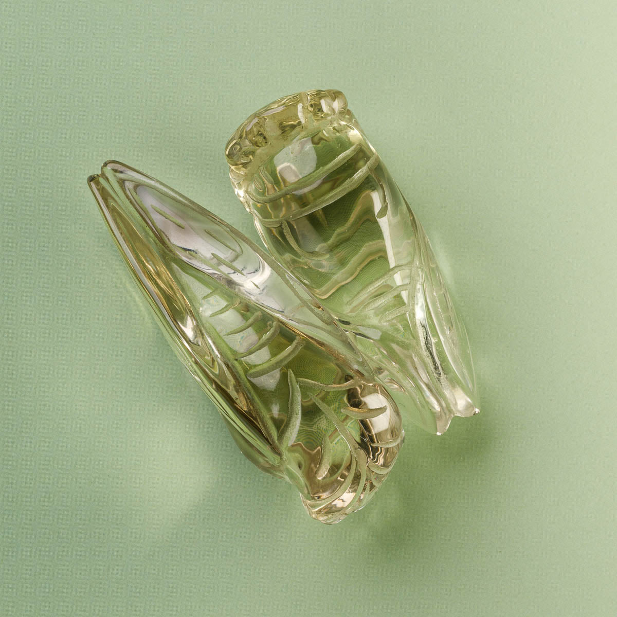 Citrine Cicada Carving