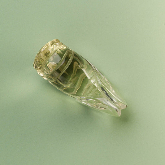 Citrine Cicada Carving