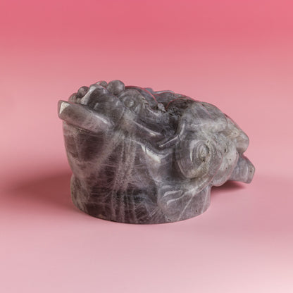 Labradorite Purple Flash Money Toad