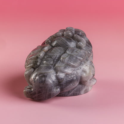 Labradorite Purple Flash Money Toad
