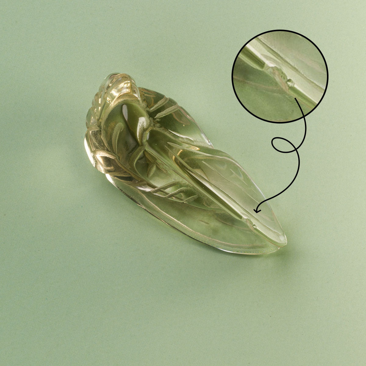 Citrine Cicada Carving