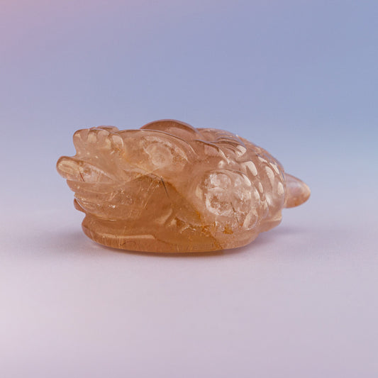 Golden Rutile Mini Money Toad