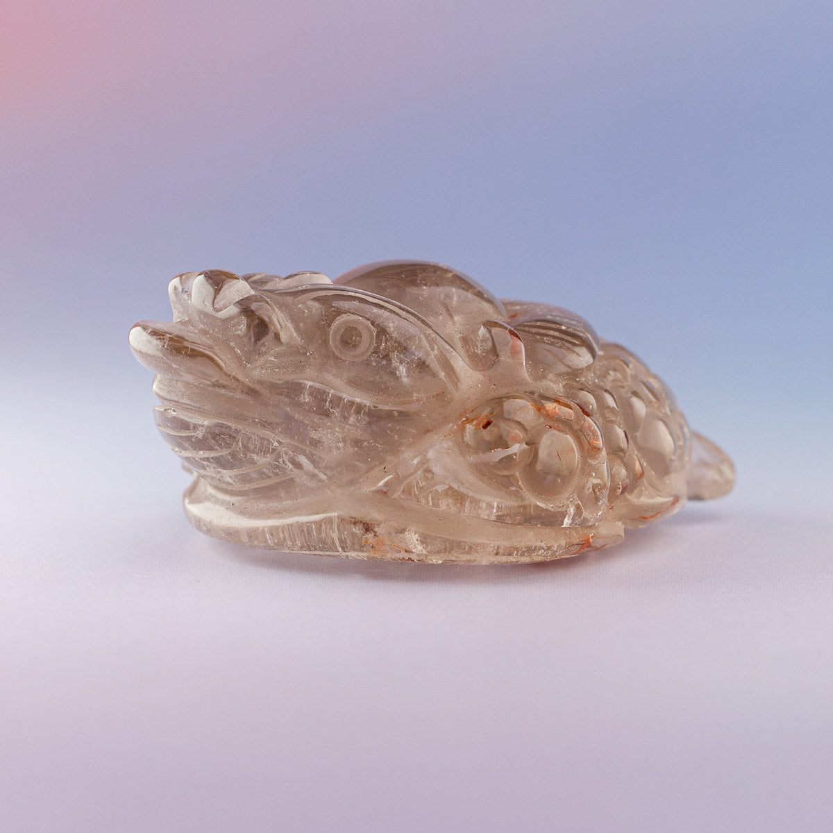 Golden Rutile Money Toad